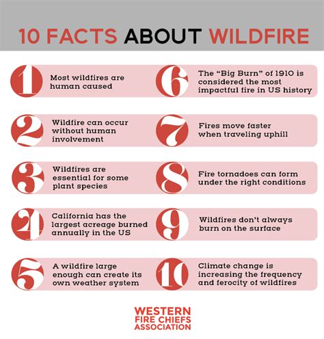 What you need to know about wildfires in Canada